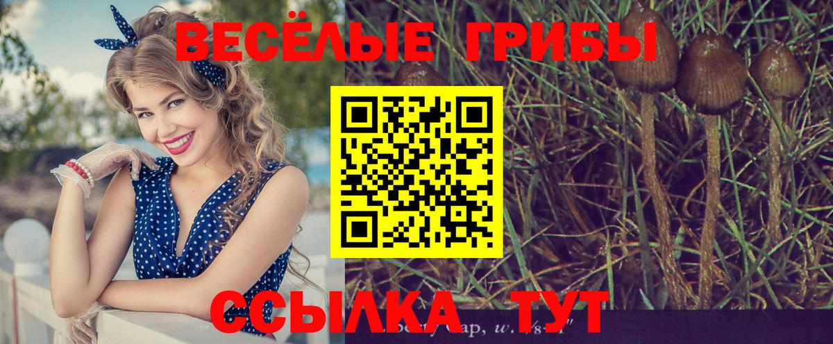 Псилоцибиновые грибы прущие грибы  Галлюциногенные грибы прущие грибы  Вход с VPN  Пушкино 